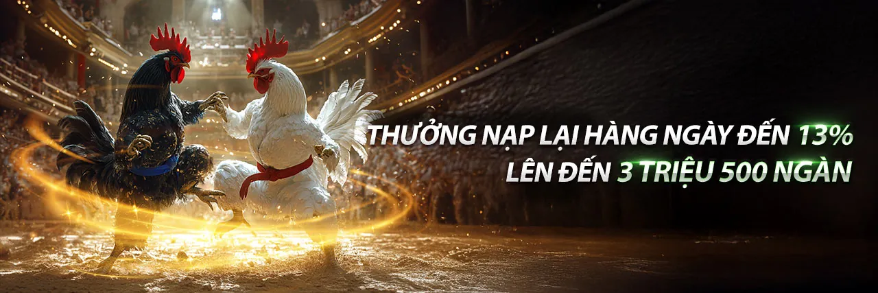 Đá Gà Trực Tuyến tại bi88 tặng 88k